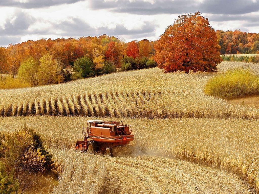 The Power of Harvest Seasons in Leadership and&nbsp;Life